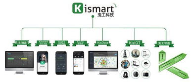2018年上海市健身俱樂部數(shù)據(jù)報告 信息技術(shù)驅(qū)動行業(yè)變革與未來展望