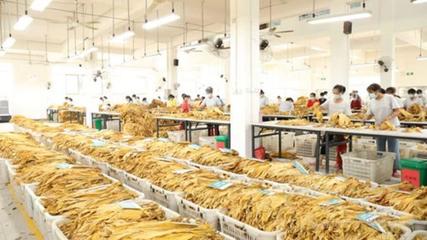 寧遠(yuǎn)縣:&ldquo;三舉措&rdquo;破除農(nóng)村集體經(jīng)濟發(fā)展瓶頸