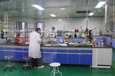 日處理300噸鮮梅、生產6款青梅酒,陸河青梅產業園正式投入使用