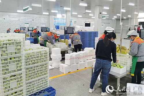 廣西金融投資集團助力中小微企業渡難關